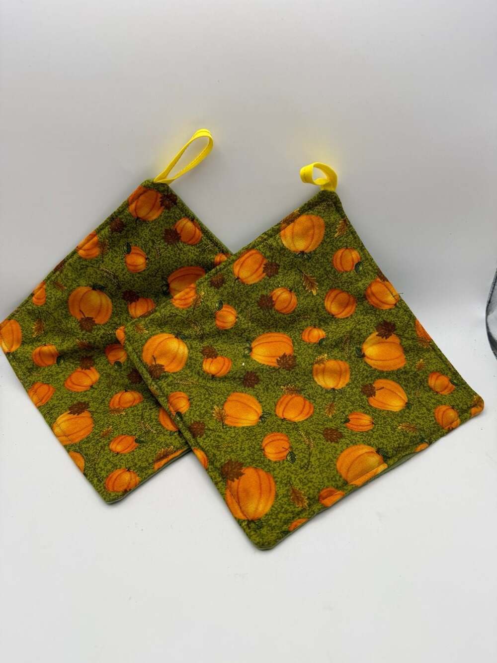 Fall Pumpkins Potholder or Hotpad with Hanging Loop Set of 2